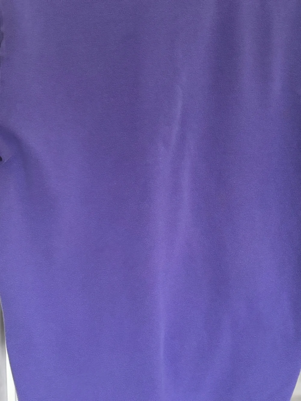 Ralph Lauren Purple Polo with Green Pony Embroidery - Picture 13 of 16